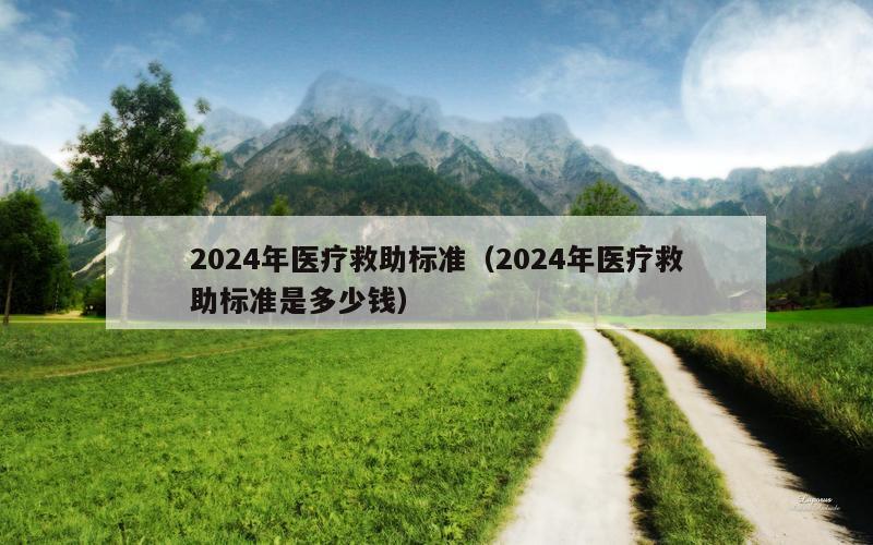 2024年医疗救助标准（2024年医疗救助标准是多少钱）