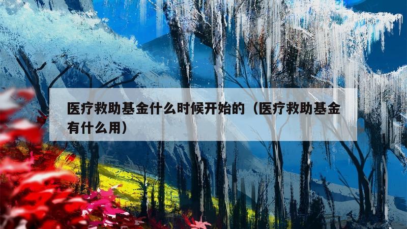 医疗救助基金什么时候开始的（医疗救助基金有什么用）