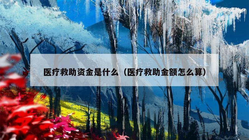 医疗救助资金是什么（医疗救助金额怎么算）