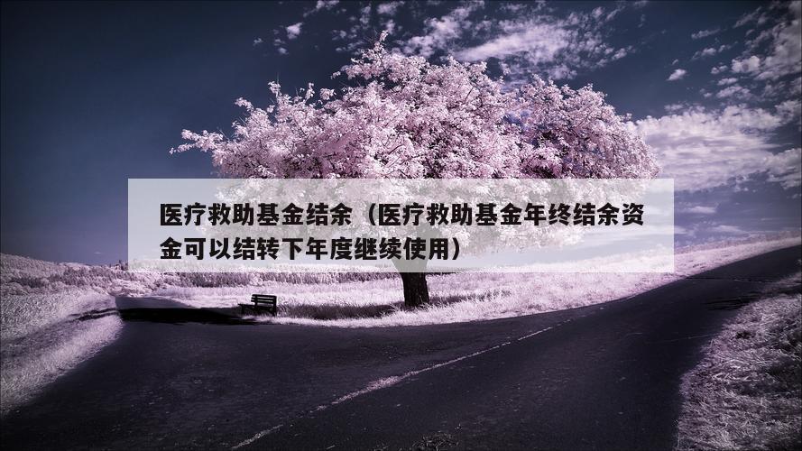 医疗救助基金结余（医疗救助基金年终结余资金可以结转下年度继续使用）