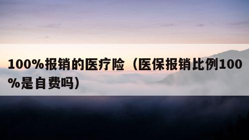 100%报销的医疗险（医保报销比例100%是自费吗）