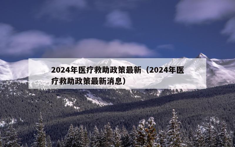 2024年医疗救助政策最新（2024年医疗救助政策最新消息）