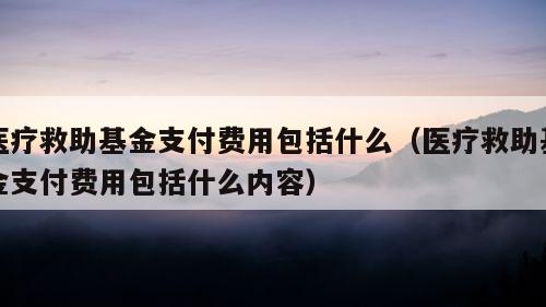 医疗救助基金支付费用包括什么（医疗救助基金支付费用包括什么内容）