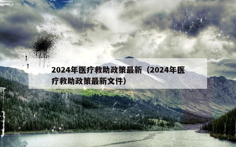 2024年医疗救助政策最新（2024年医疗救助政策最新文件）