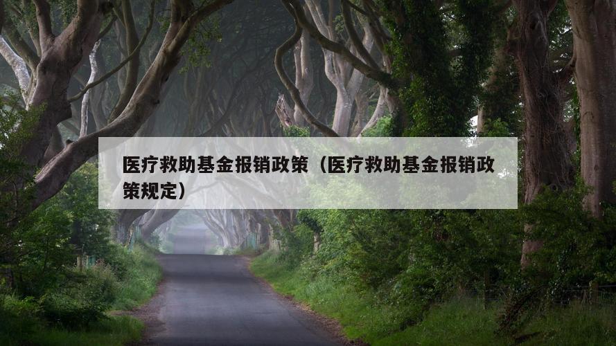 医疗救助基金报销政策（医疗救助基金报销政策规定）