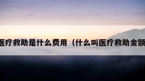 医疗救助是什么费用（什么叫医疗救助金额）