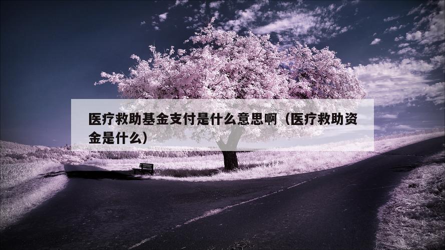 医疗救助基金支付是什么意思啊（医疗救助资金是什么）