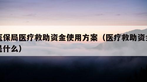 医保局医疗救助资金使用方案（医疗救助资金是什么）