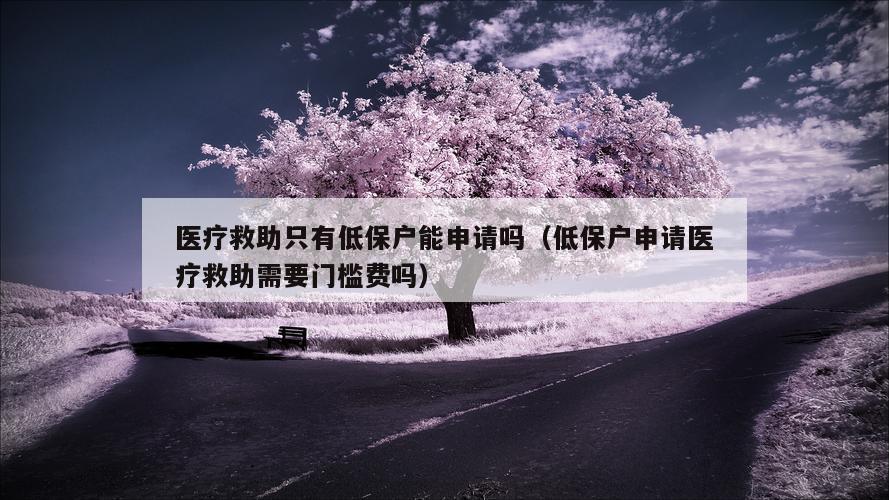 医疗救助只有低保户能申请吗（低保户申请医疗救助需要门槛费吗）