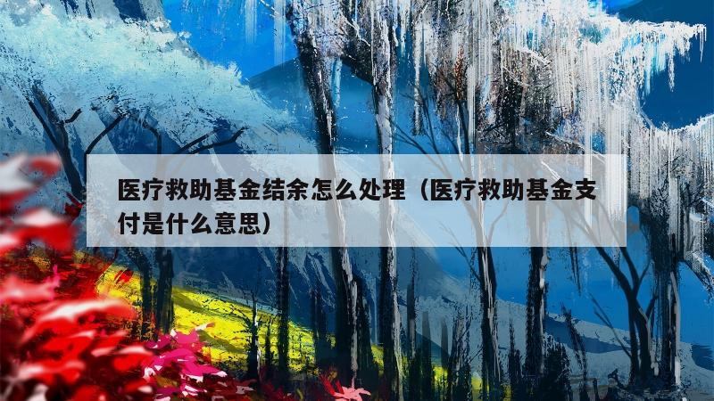 医疗救助基金结余怎么处理（医疗救助基金支付是什么意思）