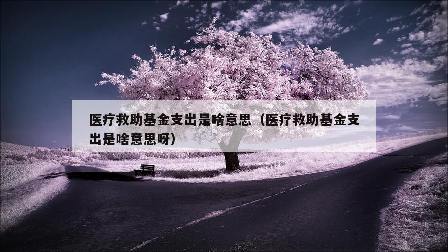 医疗救助基金支出是啥意思（医疗救助基金支出是啥意思呀）