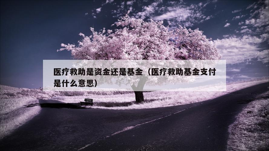 医疗救助是资金还是基金（医疗救助基金支付是什么意思）