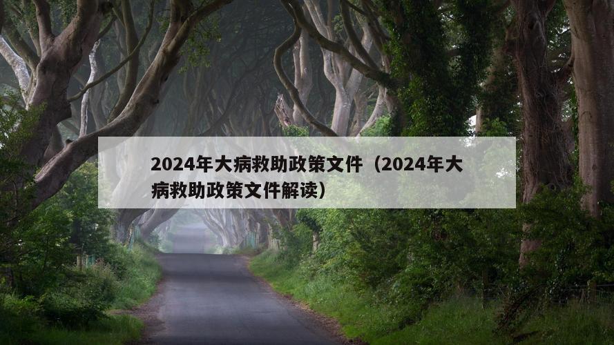 2024年大病救助政策文件（2024年大病救助政策文件解读）