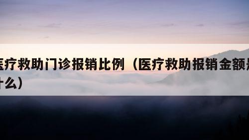 医疗救助门诊报销比例（医疗救助报销金额是什么）