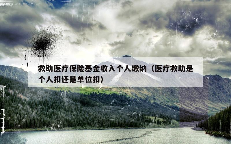 救助医疗保险基金收入个人缴纳（医疗救助是个人扣还是单位扣）