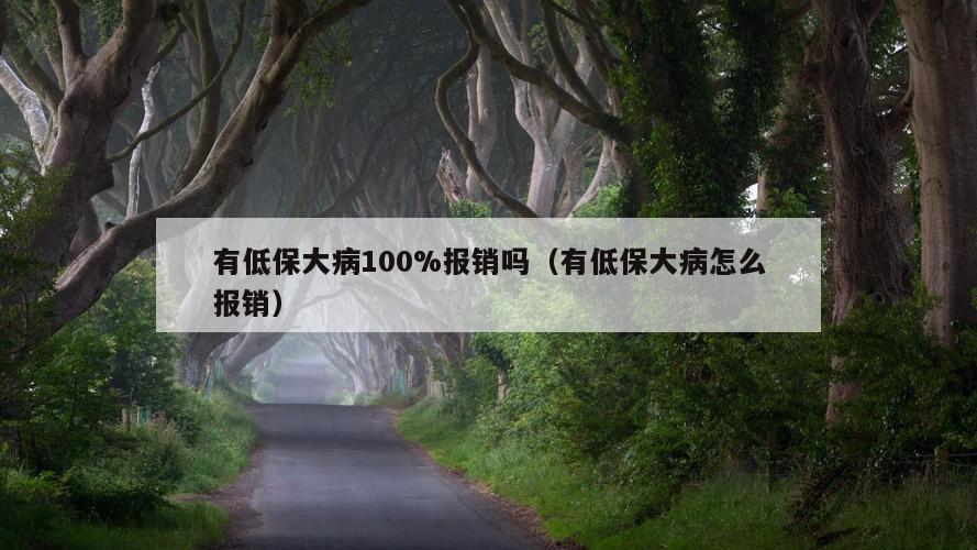 有低保大病100%报销吗（有低保大病怎么报销）