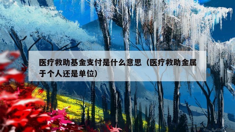 医疗救助基金支付是什么意思（医疗救助金属于个人还是单位）