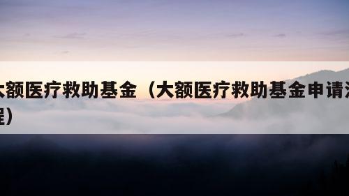 大额医疗救助基金（大额医疗救助基金申请流程）