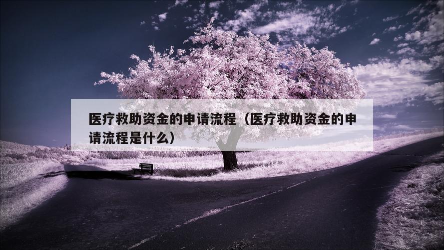 医疗救助资金的申请流程（医疗救助资金的申请流程是什么）