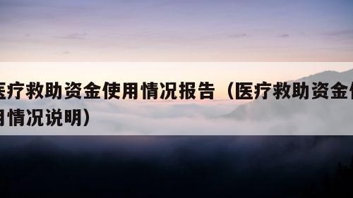 医疗救助资金使用情况报告（医疗救助资金使用情况说明）