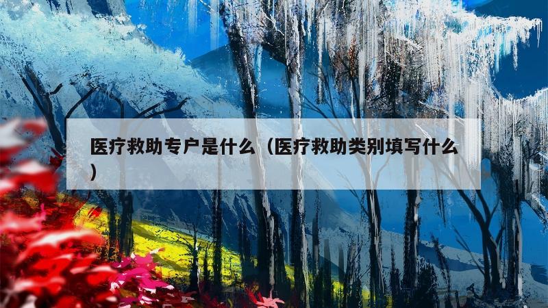 医疗救助专户是什么（医疗救助类别填写什么）