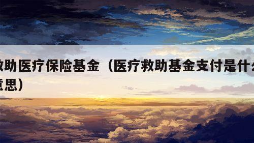 救助医疗保险基金（医疗救助基金支付是什么意思）