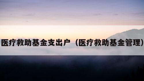 医疗救助基金支出户（医疗救助基金管理）