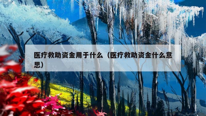 医疗救助资金用于什么（医疗救助资金什么意思）