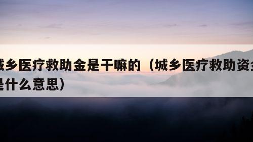 城乡医疗救助金是干嘛的（城乡医疗救助资金是什么意思）