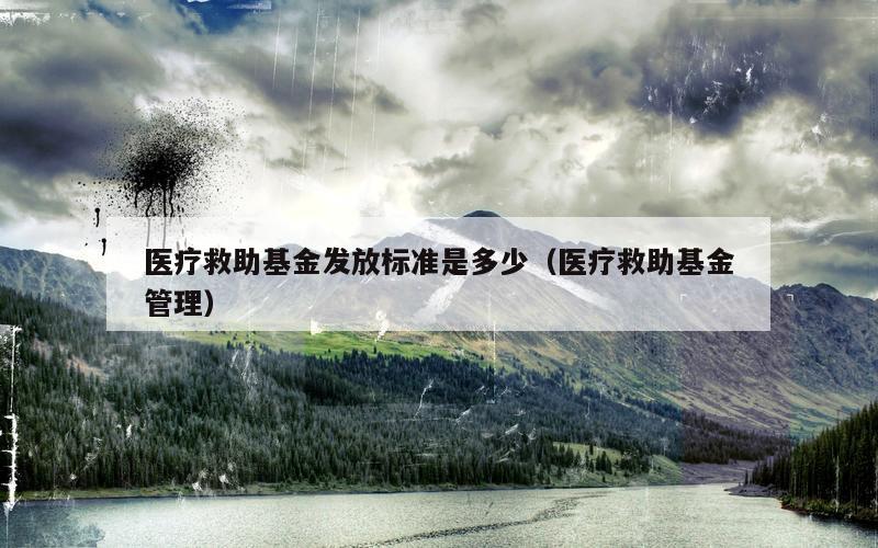 医疗救助基金发放标准是多少（医疗救助基金管理）