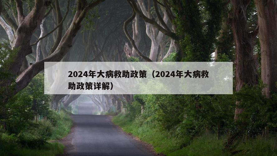 2024年大病救助政策（2024年大病救助政策详解）