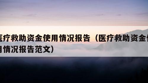 医疗救助资金使用情况报告（医疗救助资金使用情况报告范文）