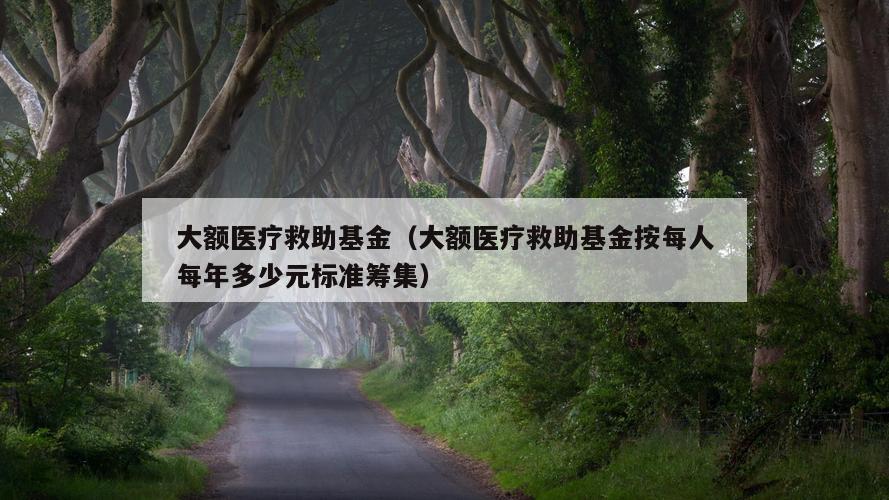 大额医疗救助基金（大额医疗救助基金按每人每年多少元标准筹集）