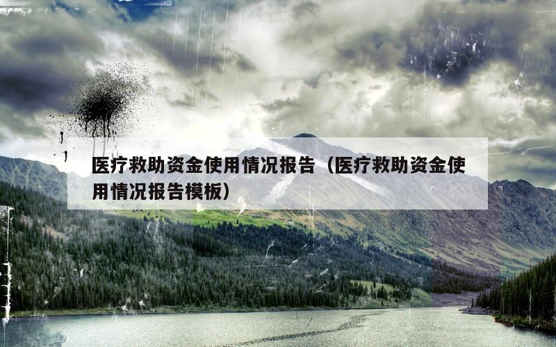 医疗救助资金使用情况报告（医疗救助资金使用情况报告模板）