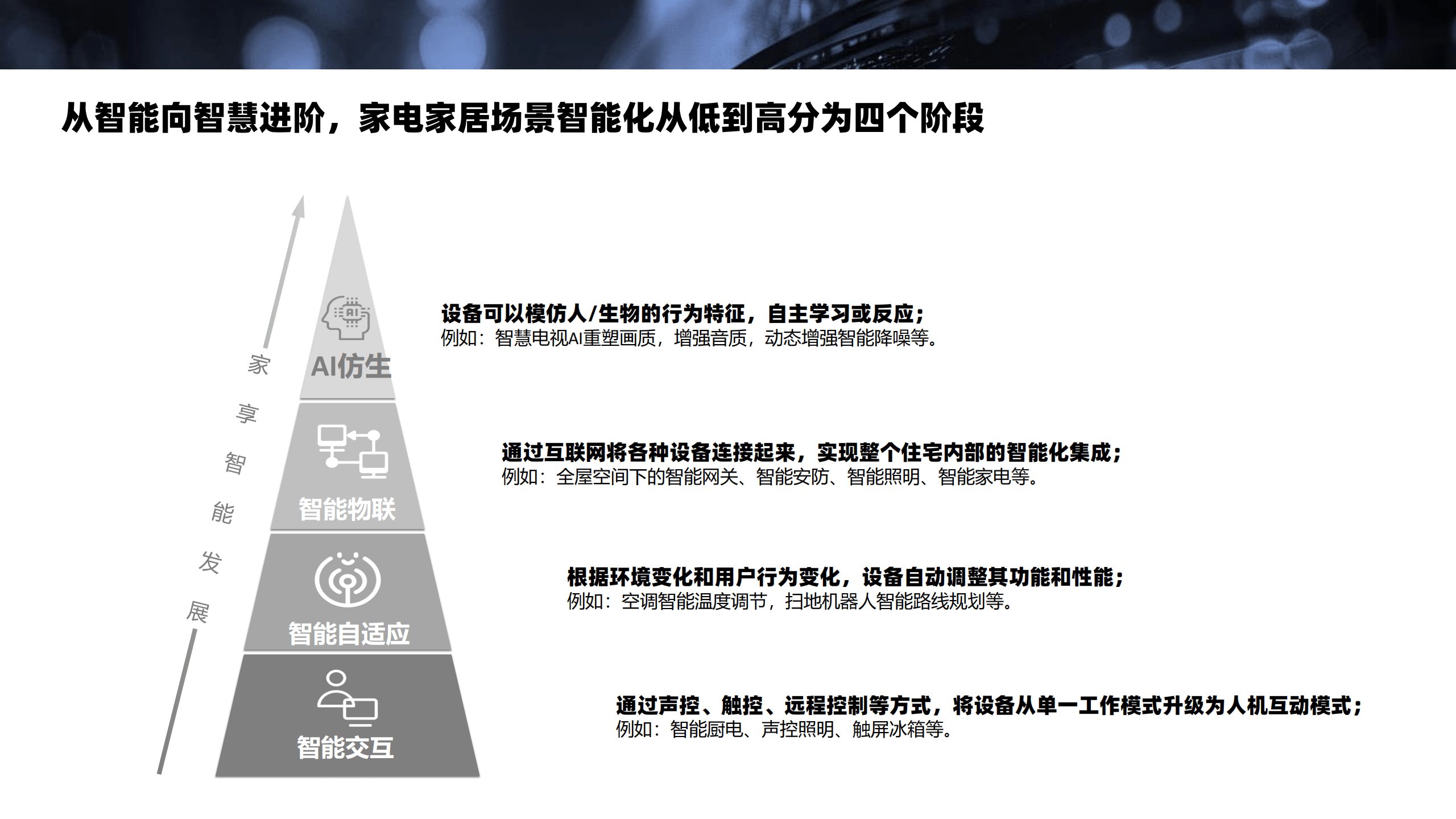 2024澳门特马今晚开奖07期,AI数据解释落实_卓越版12.891