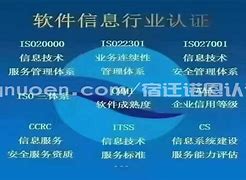 新澳门今晚开特马开奖,数据资料解释落实_卓越版172.437的简单介绍