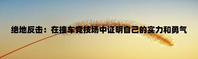 关于管家婆一笑一马100正确,数据资料解释落实_卓越版172.467的信息